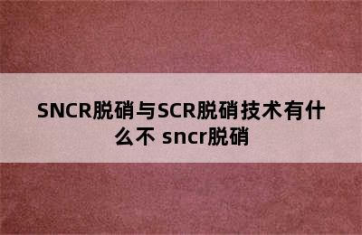 SNCR脱硝与SCR脱硝技术有什么不 sncr脱硝